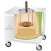 Pizza Plate for 'Sprinter & Performer' Home Tandoor